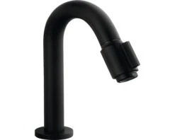 Fonteinkraan Vicky Luxe Mat Zwart