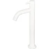 Fonteinkraan Hoge Gebogen Uitloop Mat Wit -Hornbach shop DV 8 10430479 03 4c NL 20230301163038
