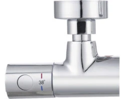 AVITAL Douche Thermostaatkraan Avitherm 1000 Chroom 21 AVITAL Douche Thermostaatkraan Avitherm 1000 Chroom -Hornbach shop DV 8 10578681 06 4c DE 20230317104754