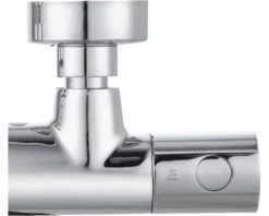 AVITAL Douche Thermostaatkraan Avitherm 1000 Chroom 20 AVITAL Douche Thermostaatkraan Avitherm 1000 Chroom -Hornbach shop DV 8 10578681 07 4c DE 20230317104852