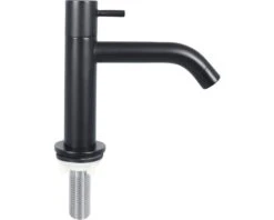 Fonteinkraan Staafgreep Gebogen Uitloop Mat Zwart