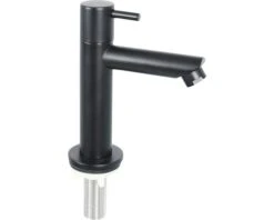 Fonteinkraan Staafgreep Rechte Uitloop Mat Zwart