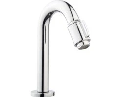 Fonteinkraan Vicky Luxe Chroom